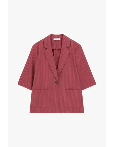 Blazer rayé à manches trois quarts et fermeture à bouton Please