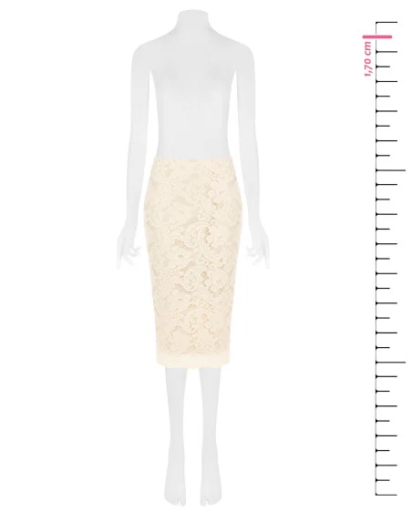 Rinascimento Lace Sheath Skirt with a Back Slit and Satin Waistband