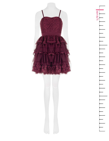 Robe de la Rinascimento