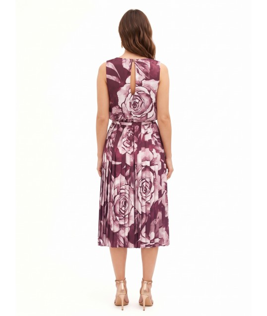 Robe de la Rinascimento
