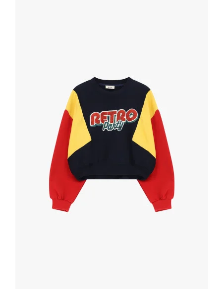Cropped Crew-Neck Sweatshirt with Color-Block Sleeves Dixie