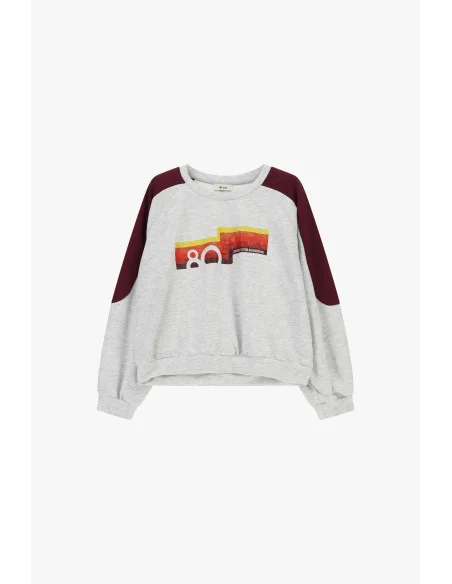 Sweat-shirt à col rond avec manches contrastantes et imprimé frontal Dixie