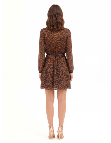 Robe de la Rinascimento
