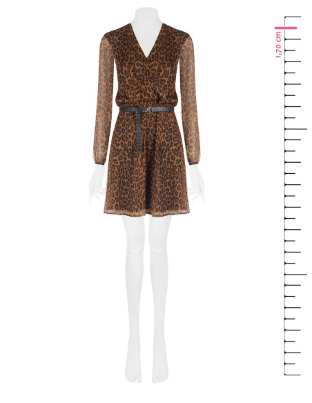 Robe de la Rinascimento