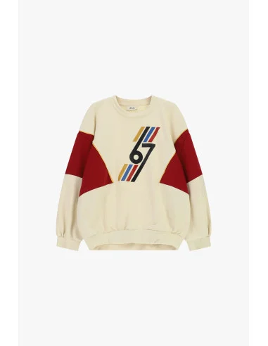 Crewneck Sweatshirt with Graphic Details and Dixie Inserts