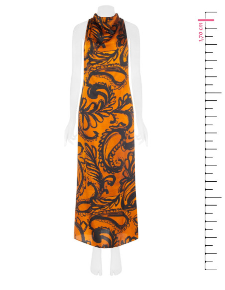 Robe de la Rinascimento