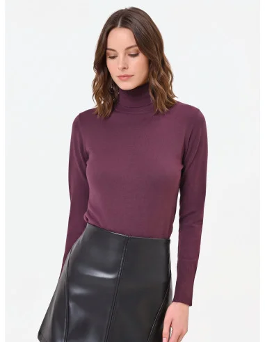 Turtleneck Sweater with Embroidered RR Logo Rinascimento - Burgundy