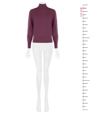 Turtleneck Sweater with Embroidered RR Logo Rinascimento - Burgundy