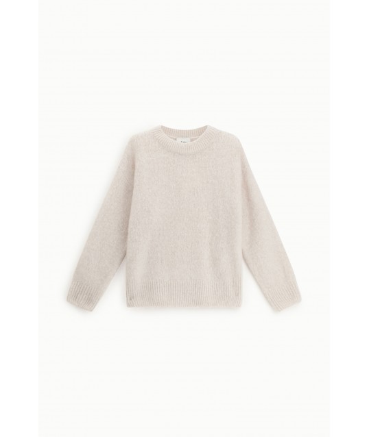 Maglione Girocollo A Maniche Lunghe Dalla Vestibilità Morbida Dixie