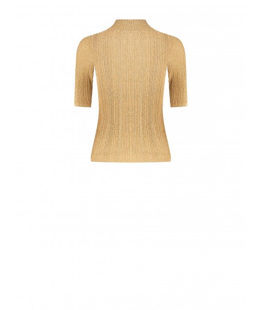 Top Dolcevita A Coste Con Filato In Lurex Rinascimento