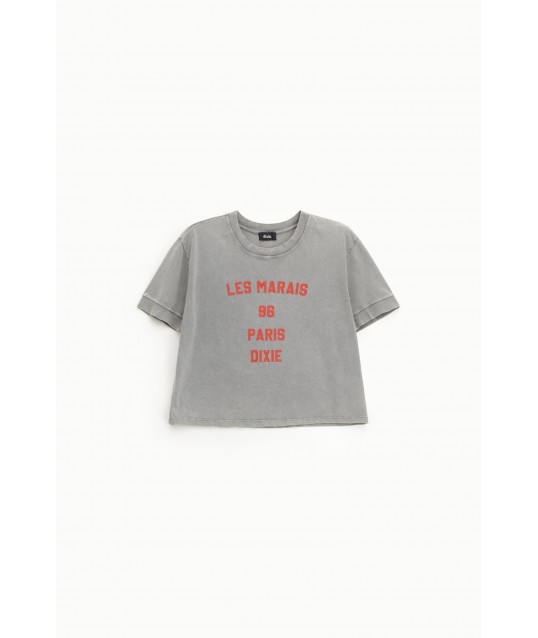 Front Print Cropped T-Shirt Regular Fit Dixie