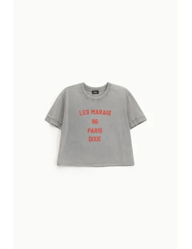 Front Print Cropped T-Shirt Regular Fit Dixie