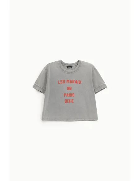 Front Print Cropped T-Shirt Regular Fit Dixie