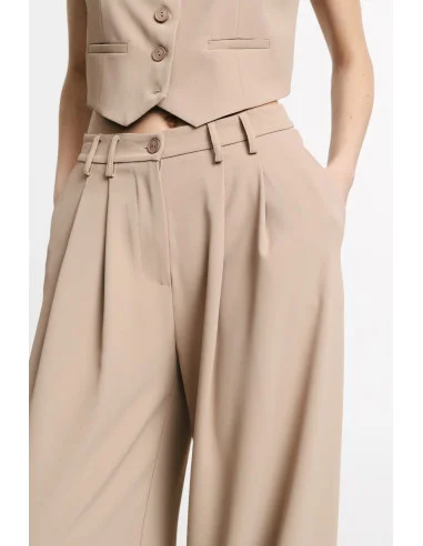 High Waisted Palace Trousers With Pleats Please