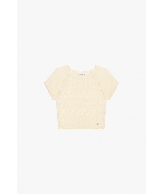 Short Perforated Top With Short Sleeves Please