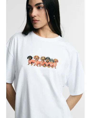 T-Shirt Dachshunds Print Fit Regular Crew Neck Please